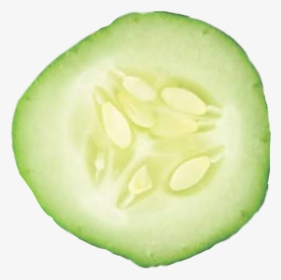 ##pepino - Cucumber, HD Png Download, Free Download