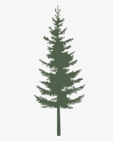 Single Pine - Green - Western Yellow Pine, HD Png Download, Free Download