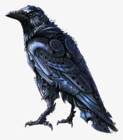 Raven Png - Raven Art, Transparent Png, Free Download