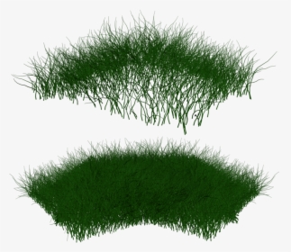Grass Photoshop, Post Pro, Autocad, Project Presentation, - Portable Network Graphics, HD Png Download, Free Download