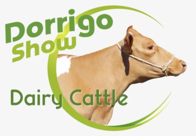 02-dairy, HD Png Download, Free Download