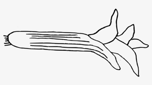 Doodle-leek, HD Png Download, Free Download