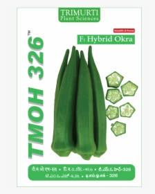 Zucchini, HD Png Download, Free Download