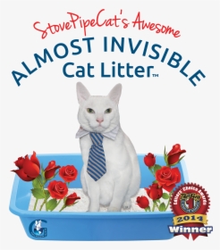 Almost Invisible Cat Litter Is Far Superior To Other - Cat, HD Png Download, Free Download
