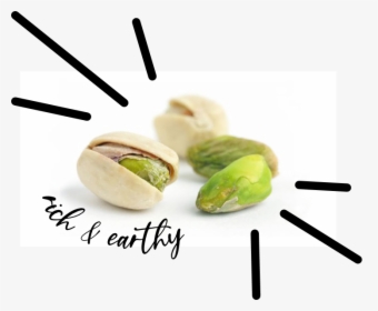 Pistachio Png, Transparent Png, Free Download
