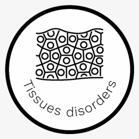 Circle, HD Png Download, Free Download