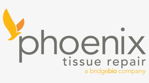 Phoenix Tissue Repair - Oval, HD Png Download, Free Download
