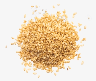 Puffed Brown Rice - Wheat Grains Clipart, HD Png Download, Free Download