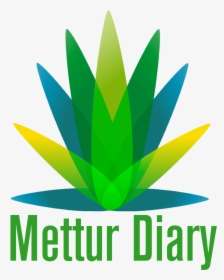 Mettur Dam Water Level Today - Current Mettur Dam Water Level Today, HD Png Download, Free Download