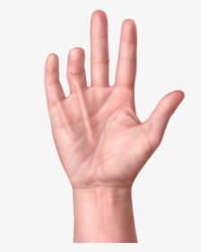 One Hand With Cords Extending Into Finger - John Elway Dupuytren's Contracture, HD Png Download, Free Download