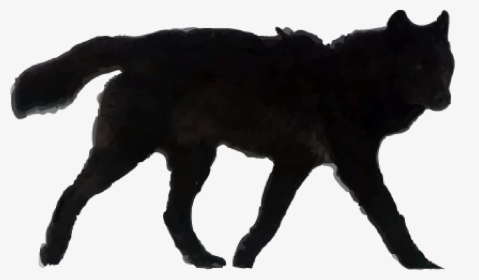 Our Story Black Wolf , Png Download - Dog Catches Something, Transparent Png, Free Download