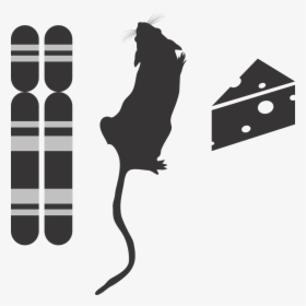 Genotype Phenotype Environment Icon G2p Genotype Free - Silhouette Rat Top View, HD Png Download, Free Download