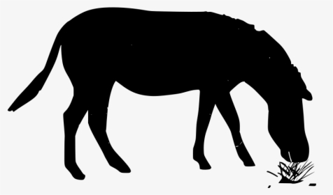 Scalable Vector Graphics, HD Png Download, Free Download