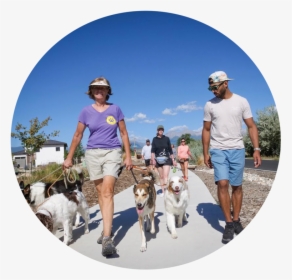 Walking Dog Png, Transparent Png, Free Download