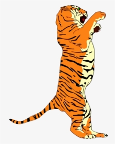 Animal Legs Tiger Cartoon Clipart Illustration Wildlife - Tiger Standing Clipart, HD Png Download, Free Download