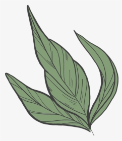 Clip Art, HD Png Download, Free Download