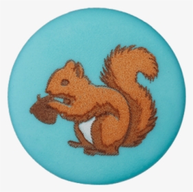 Button Shank Squirrel - Fox Squirrel, HD Png Download, Free Download