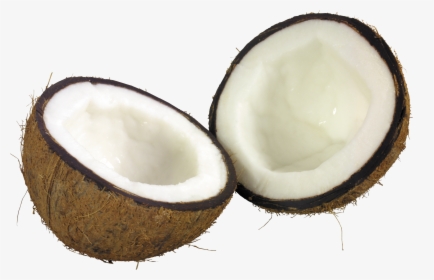 Coconut Png, Transparent Png, Free Download