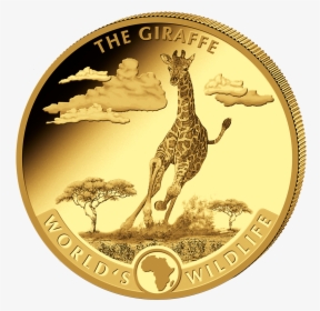 Itkon11912 1 - Congo Giraffe Coins 2019, HD Png Download, Free Download