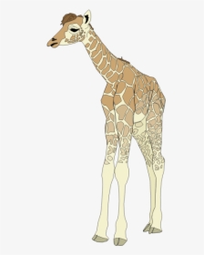 Drawing Of Baby Giraffe - Giraffe Clip Art, HD Png Download, Free Download