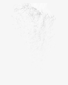 Preview - Sketch, HD Png Download, Free Download