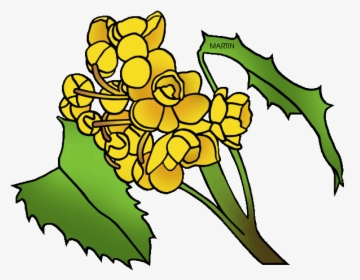 Grape Transparent Oregon - Draw The Oregon State Flower, HD Png Download, Free Download