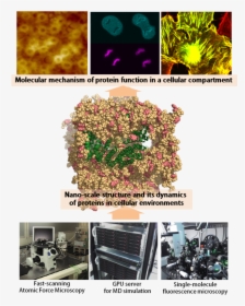 Atomic Force Microscope Kyoto University, HD Png Download, Free Download