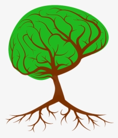 To Flourish As Humans We Need To Pursue The Right Road - Arbre Environnement, HD Png Download, Free Download