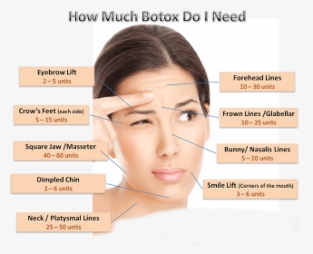 Botox Dosage Chart - Can You Use Botox, HD Png Download, Free Download