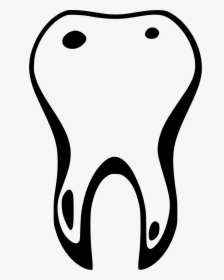 Dental Tooth, HD Png Download, Free Download
