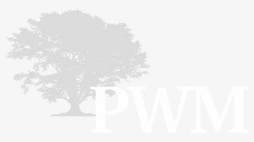 Pwm Planning - Private Wealth Management, HD Png Download, Free Download