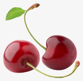 Red Cherry Transparent Fruit Png - Sweet Cherries, Png Download, Free Download