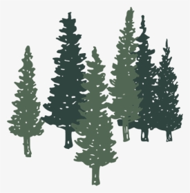 Trees - Christmas Tree, HD Png Download, Free Download