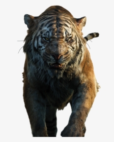 #freetoedit #tigar #chircan #angry @taylor Fotoshop - Jungle Book Shere Khan, HD Png Download, Free Download