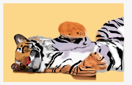 Tiger - Cat, HD Png Download, Free Download