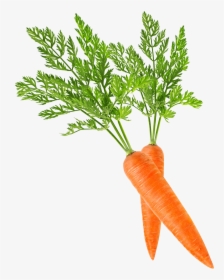 Baby Carrot Clip Art - Carrot Png, Transparent Png, Free Download