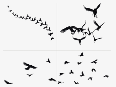 Flying Crow Png - Crow Flying Tattoo Drawings, Transparent Png, Free Download