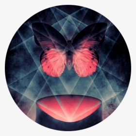 Butterfly Symmetry, Surrealism, Surreal, Butterfly, - Circle, HD Png Download, Free Download