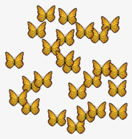 Skipper (butterfly), HD Png Download, Free Download
