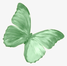#sticker #png #butterfly #green #overlay #freetoedit - Rose Gold Butterfly Png, Transparent Png, Free Download