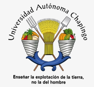 Logo Chapingo Sin Fondo - Universidad Autonoma Chapingo Logo, HD Png Download, Free Download