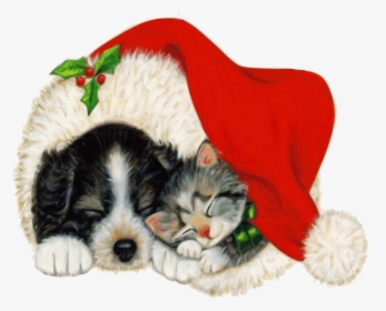 Perro, Gato, Pet, Animal, Navidad, Rojo, Durmiendo - Cat And Dog Christmas Cards, HD Png Download, Free Download