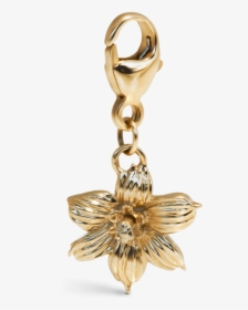 Yellow Gold Bermudiana Charm For Jewelry - Chain, HD Png Download, Free Download