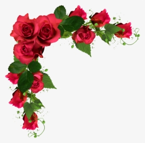 Rosas Rojas Png - Wedding Flowers No Background, Transparent Png, Free Download