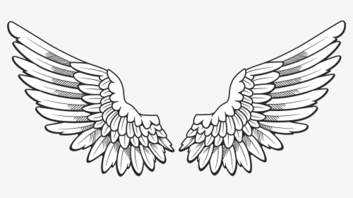 Wings Png - Angel Wings Drawing Png, Transparent Png, Free Download