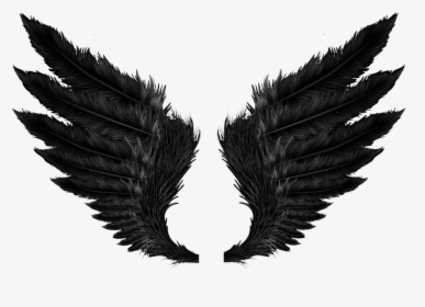 Black Evil Wings Png - Black Angel Wings Png, Transparent Png, Free Download