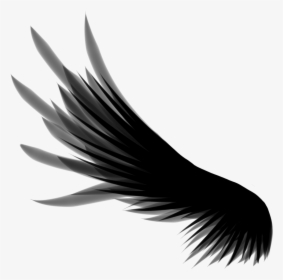 Wings Png - Wing Png, Transparent Png, Free Download