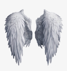White Angel Wings Png - White Angel Wings Transparent Background, Png Download, Free Download