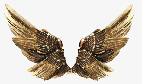 Wings, Gold, Fly - Transparent Background Metal Wings, HD Png Download, Free Download