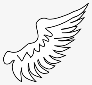 Transparent Freedom Icon Png - Wing Symbol, Png Download, Free Download